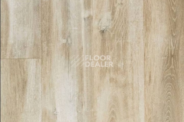 Ламинат Clix Floor Plus CXM120 ДУБ ПРОВАНС фото 1 | FLOORDEALER